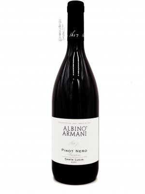 Pinot Nero Santa Lucia 2022 Bottiglia 0,350 lt