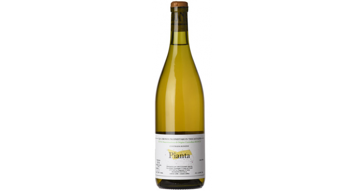 Pianta Etna Bianco 2019 Ciro Biondi Etna DOC Bottiglia 0 75 lt