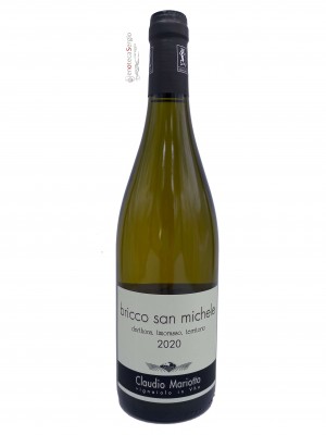 Bricco San Michele 2022 Bottiglia 0,75 lt