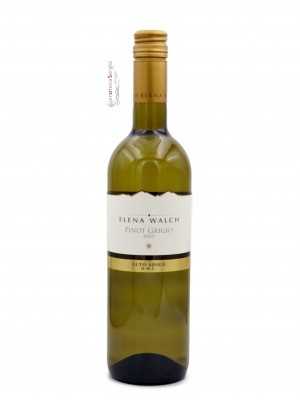 Pinot Grigio 2023 Bottiglia 0,75 lt